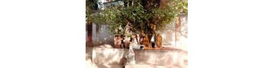 திருவல்லிக்கேணி - தீர்த்தபாலீஸ்வரர் 